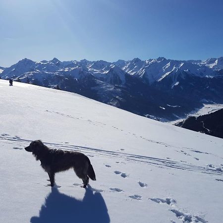 Cordial Sport Hotel Going Going am Wilden Kaiser Exteriör bild