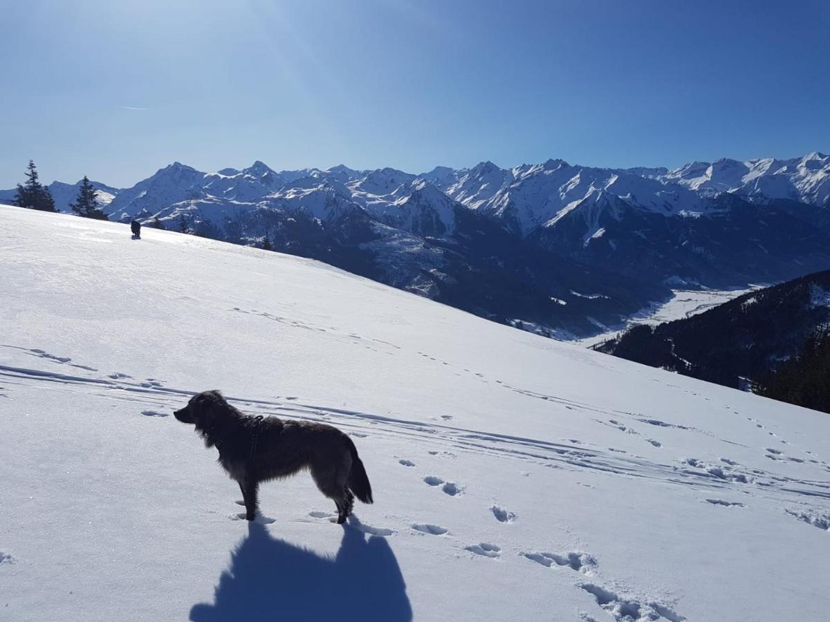 Cordial Sport Hotel Going Going am Wilden Kaiser Exteriör bild